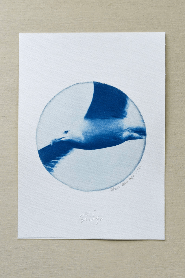 Affiche cyanotype photo du ciel - L’envol