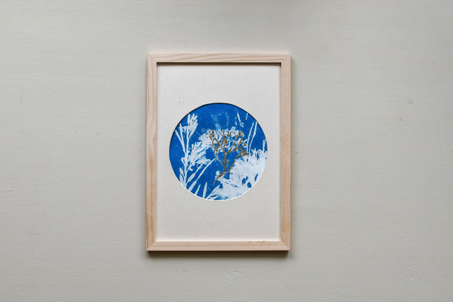 Algae - Première lueur - A4