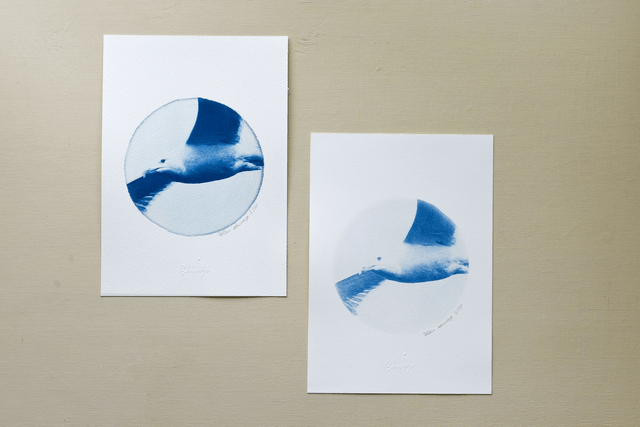 Affiche cyanotype photo du ciel - L’envol