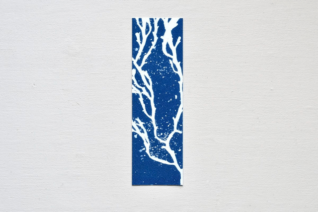 Reproduction Fine Art - Série 1 - Algae - Marque page
