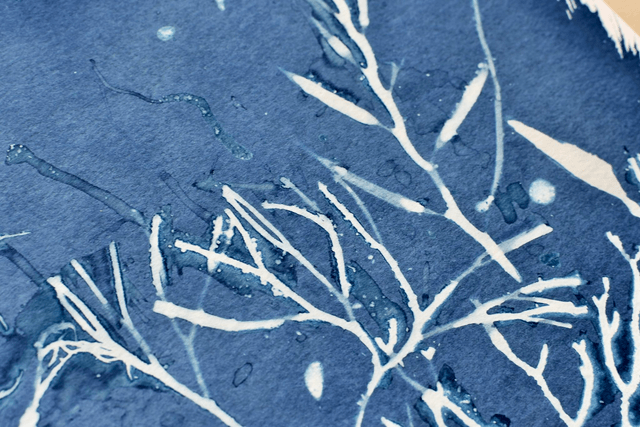 Algae - Subaquanea 2.0 - 30 x 40 cm 