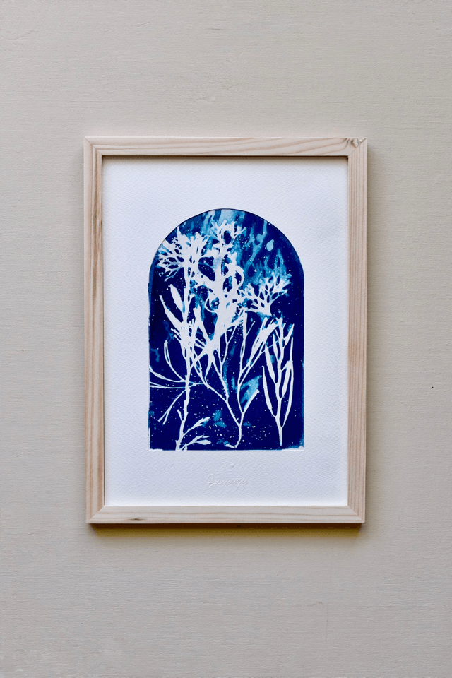 Algae - Fenêtre marine - A4