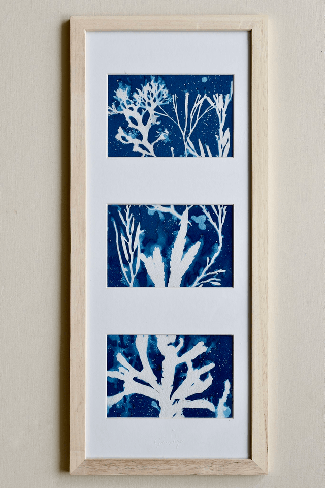 Algae - Triptychon Algarum 