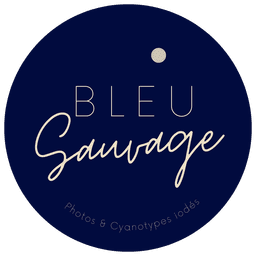 Bleu sauvage - impression de cyanotype iodé