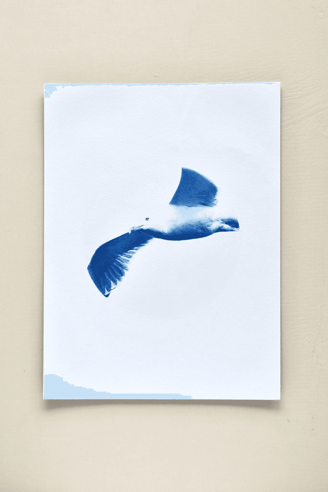 Affiche cyanotype photo du ciel - L’envol