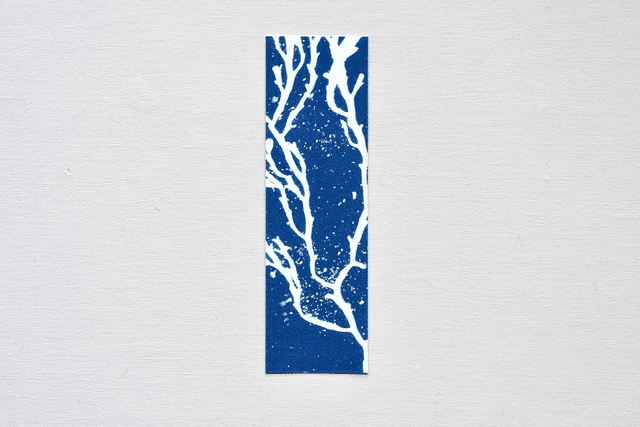 Reproduction Fine Art - Série 1 - Algae - Marque page
