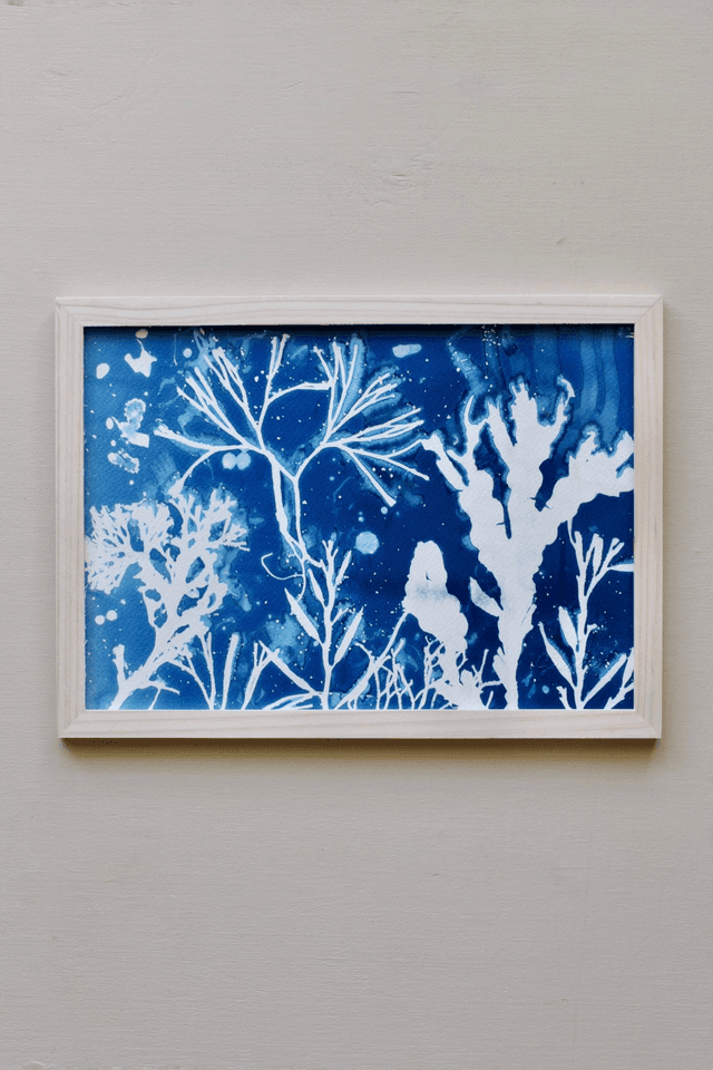 Algae - Vita aquatica 2.2 - A4